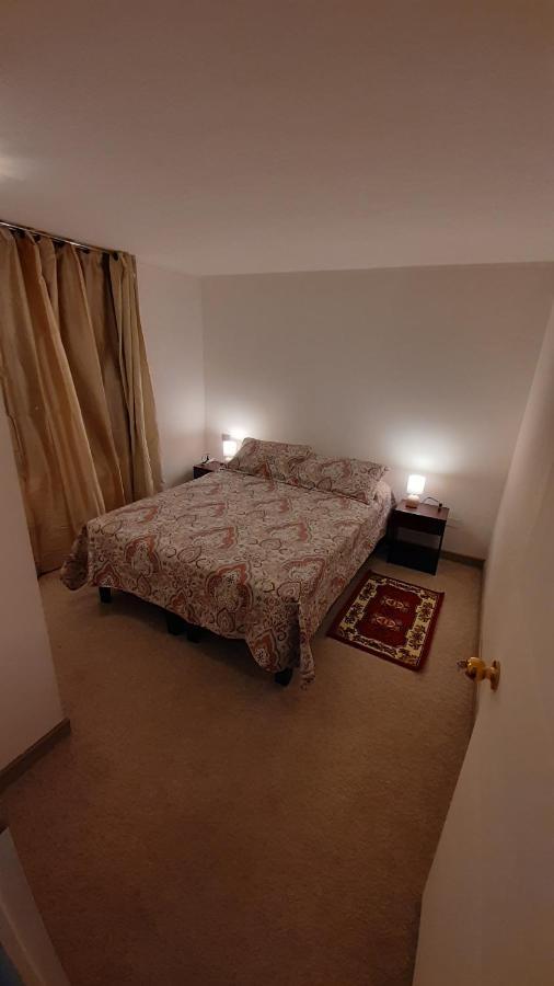 Loica Chile Apartment Santiago de Chile Bagian luar foto